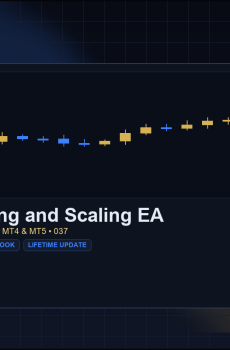 Position Sizing and Scaling EA for MT4 and MT5